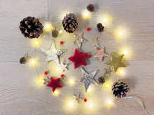 Christmas Terrarium Decoration Kit