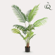 Howea Forsteriana Kunstplant (Paradijspalm)