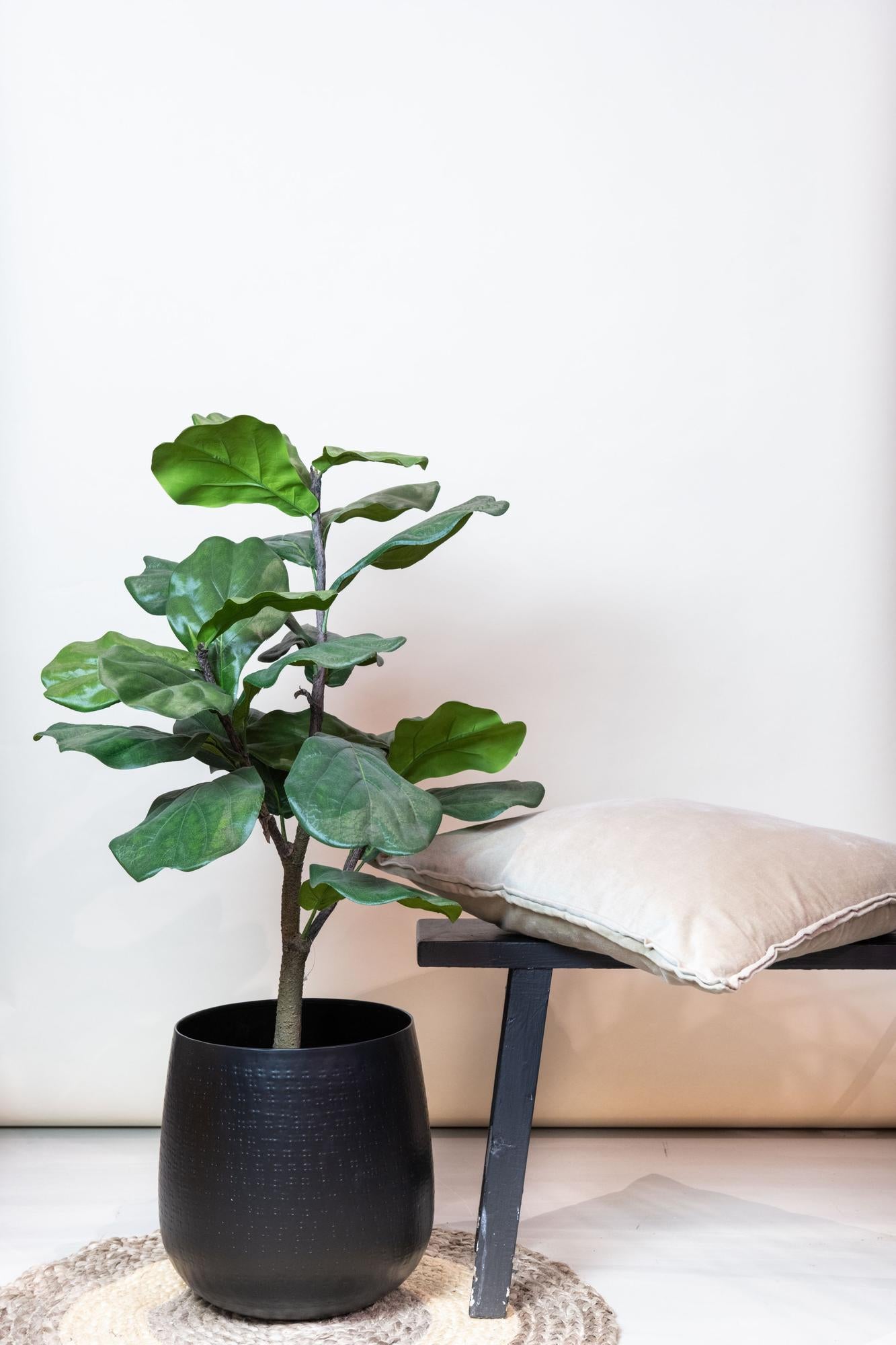 Ficus Lyrata Kunstplant (Tabaksplant)