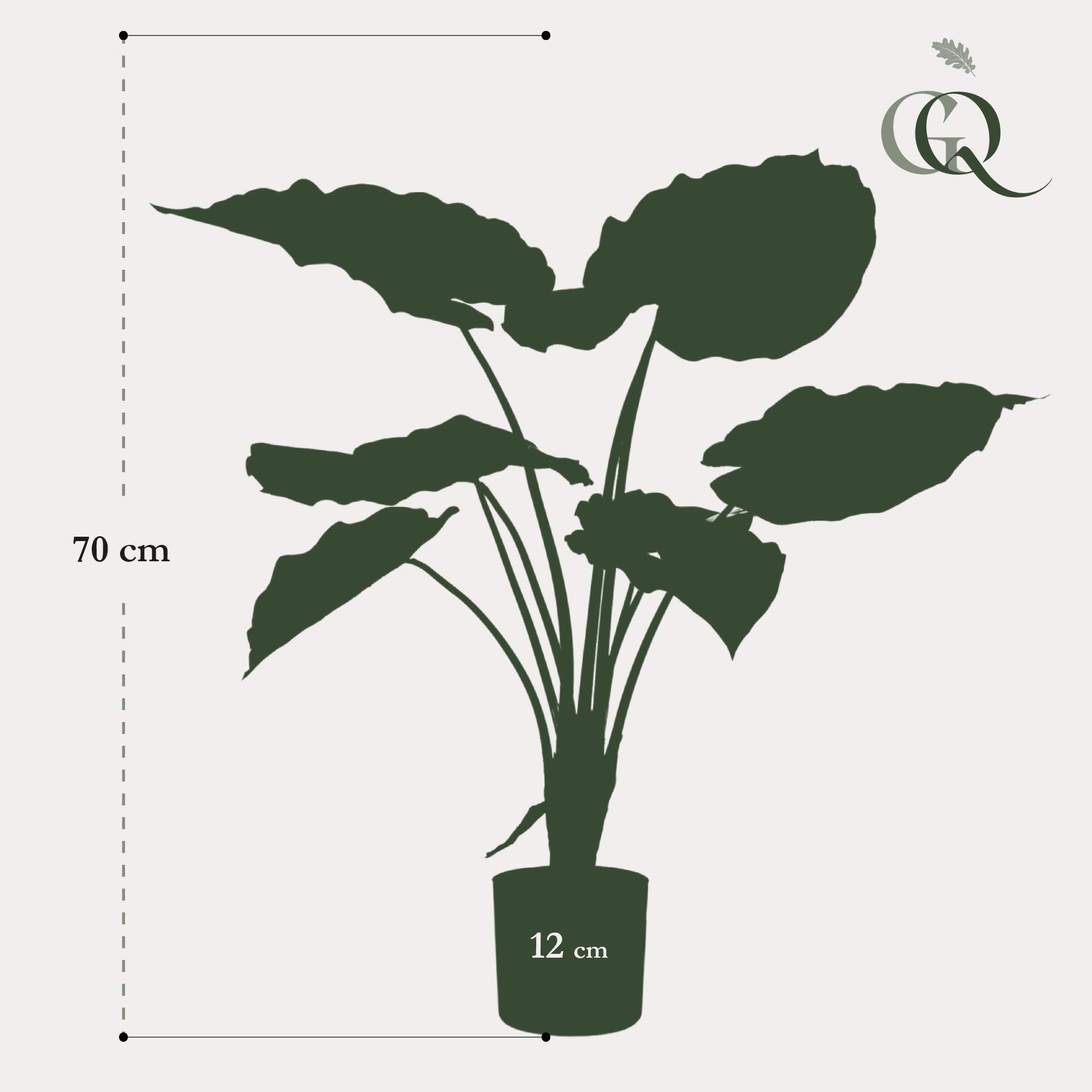 Alocasia Kunstplant (Olifantsoor)
