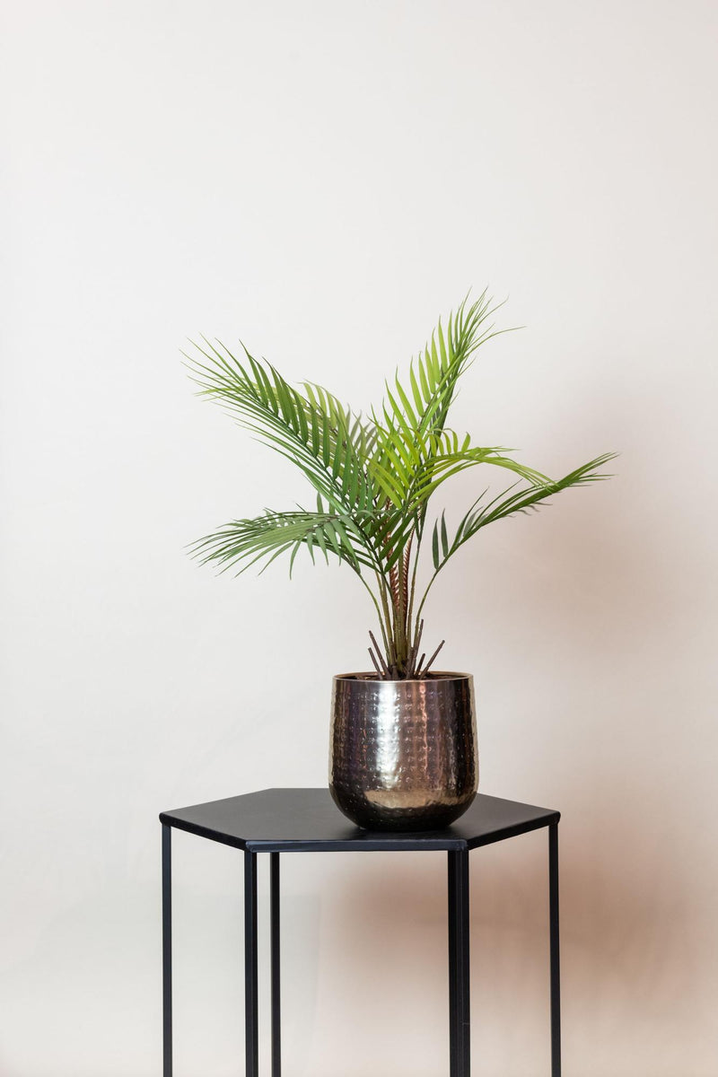 Chamaedorea Kunstplant (Bergpalm)