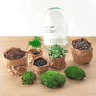Egg XL Terrarium