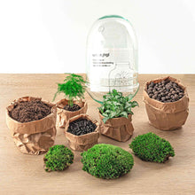 Egg XL Terrarium
