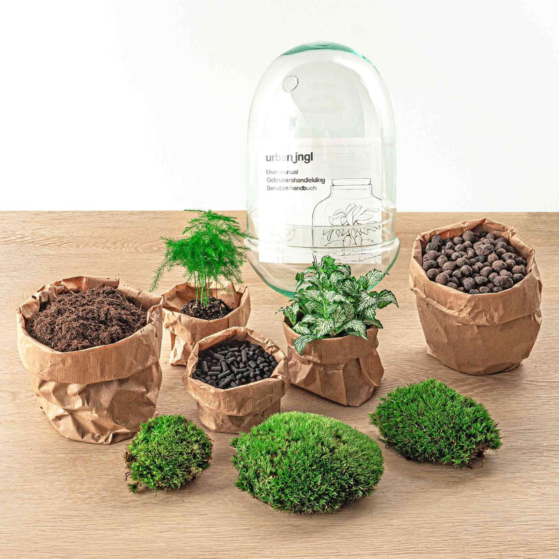 Egg XL Terrarium