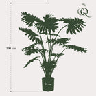 Philodendron Kunstplant Everspring