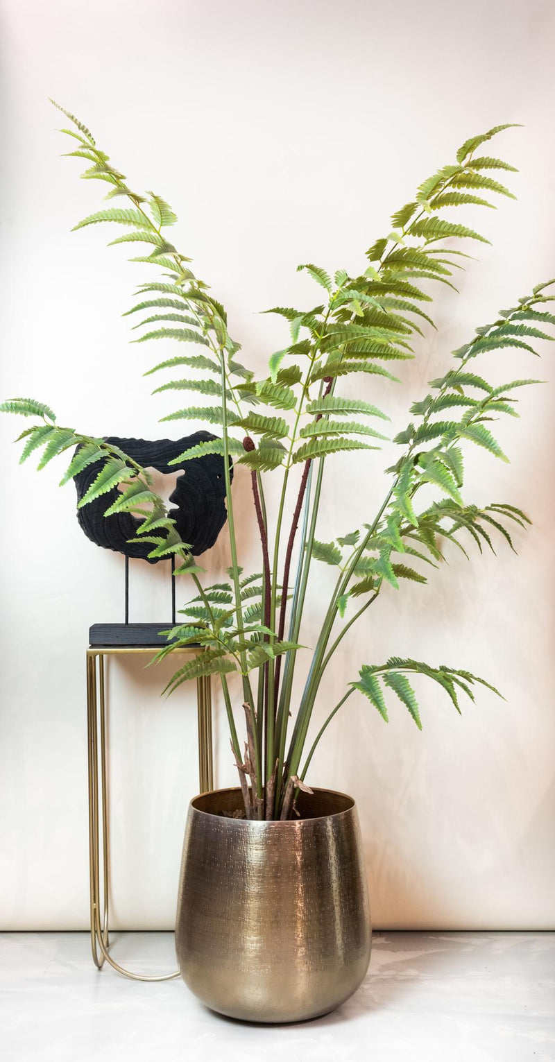 Rumohra Adiantiformis Kunstplant (Ledervaren)