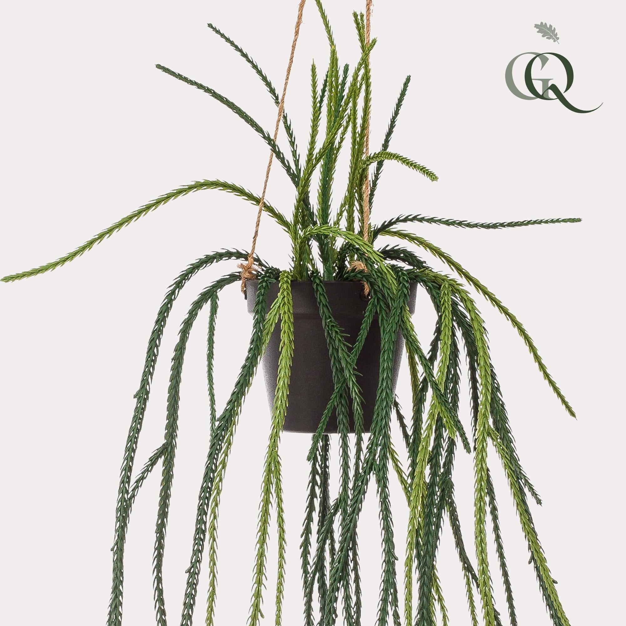 Rhipsalis Kunstplant (Koraalcactus)