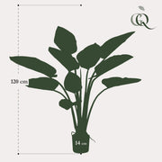 Philodendron Kunstplant