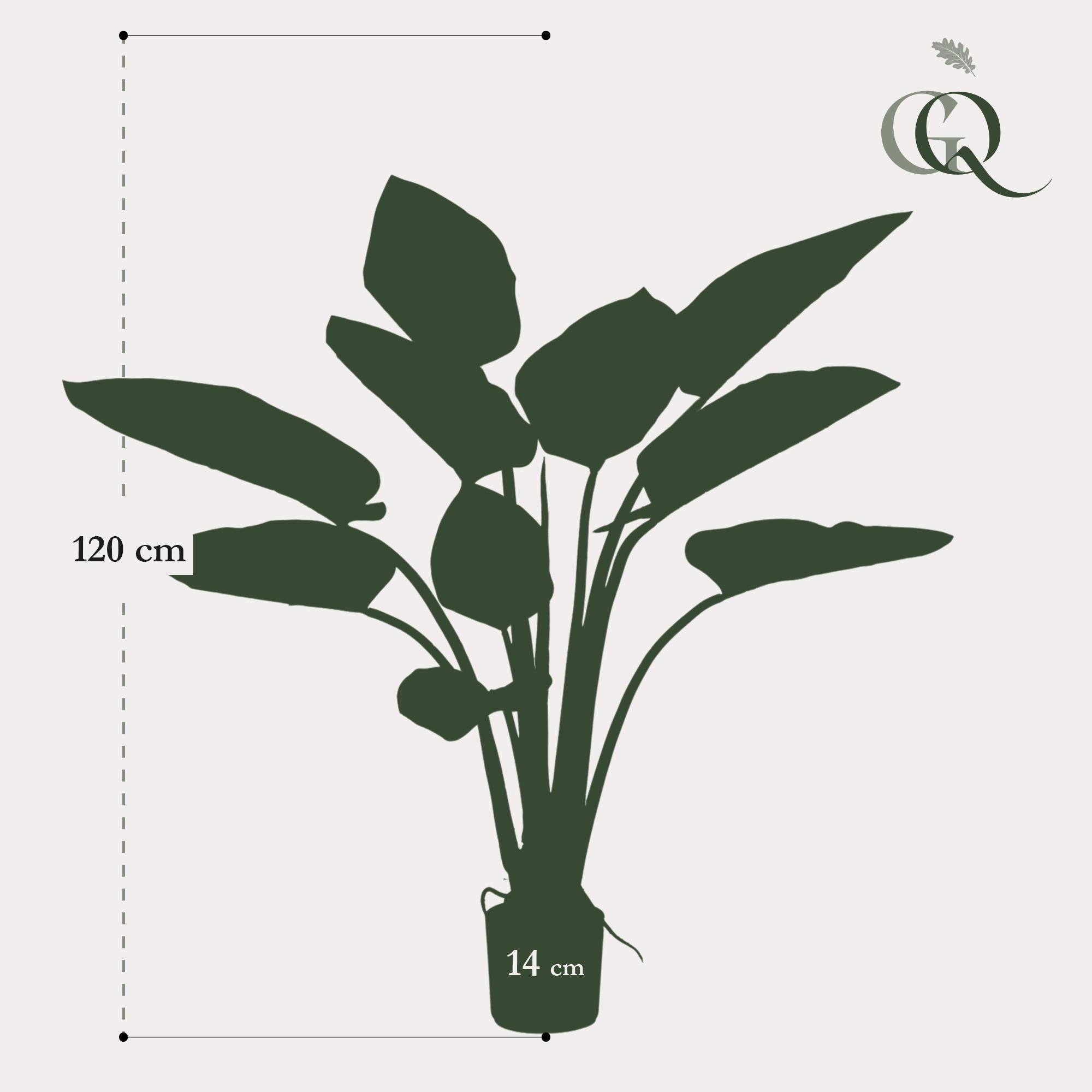 Philodendron Kunstplant
