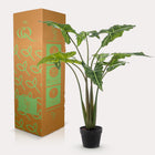 Alocasia Frydek Kunstplant (Olifantsoor)