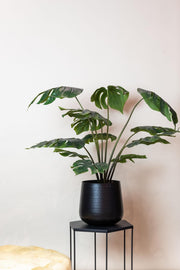Monstera Deliciosa Kunstplant (Gatenplant)