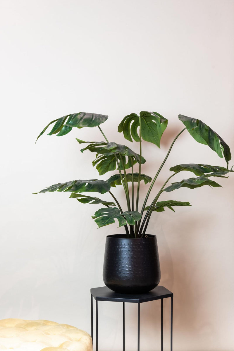 Monstera Deliciosa Kunstplant (Gatenplant)