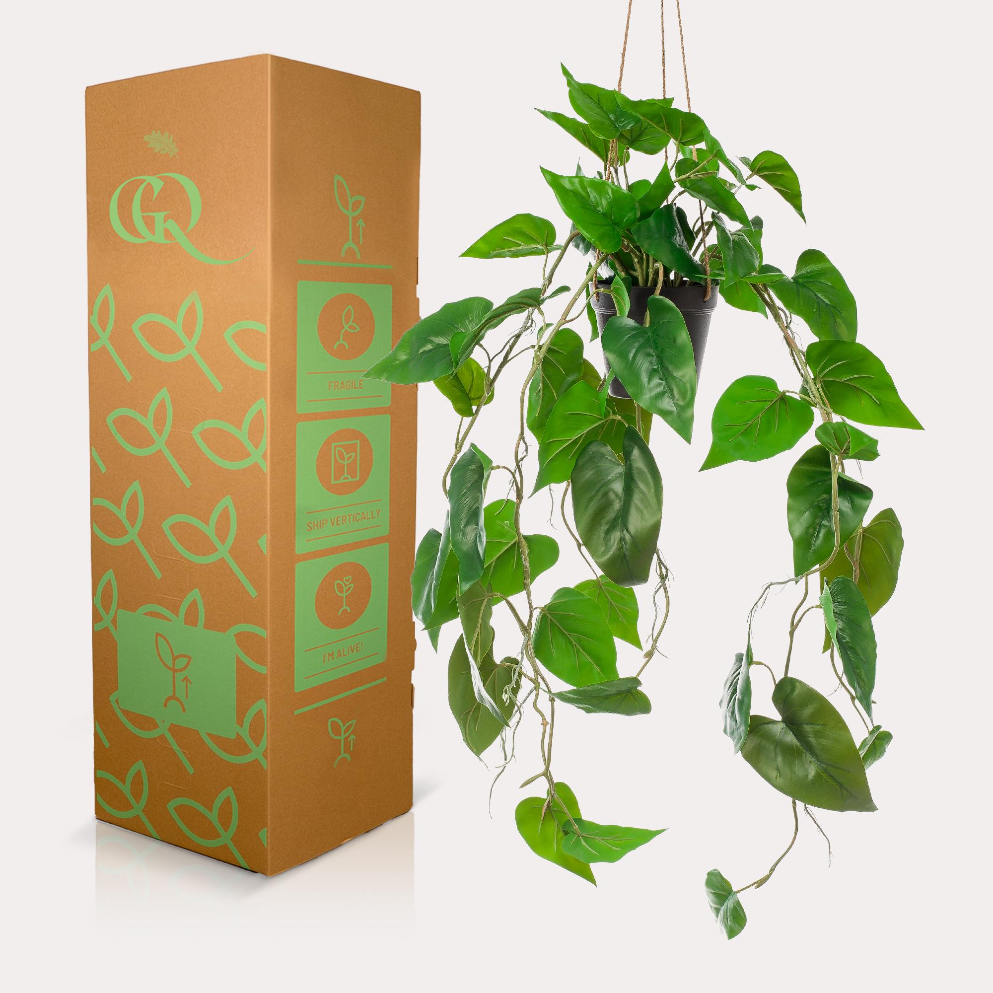 Philodendron Scandens (kunstplant)
