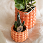 Plantenset Poppy Oranje