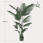 Howea Forsteriana Kunstplant (Paradijspalm)