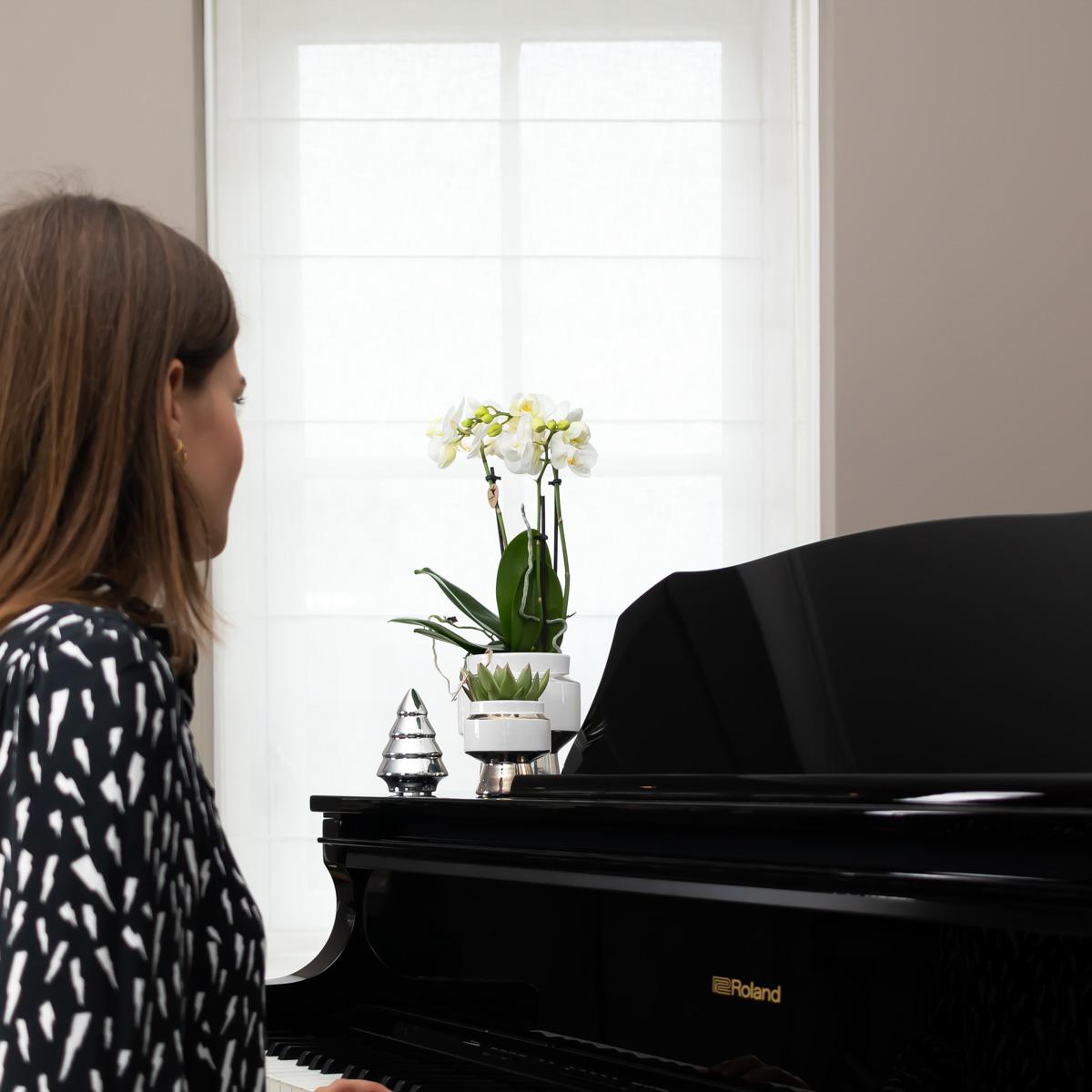 Kolibri Orchids – Witte Phalaenopsis Amabilis in Le Chic zilver