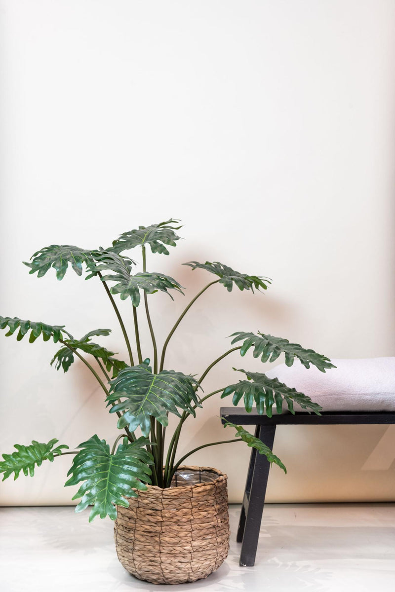 Philodendron Kunstplant