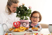 Rosa Light Pink in P&PURE “SPECIAL POUR TOI”