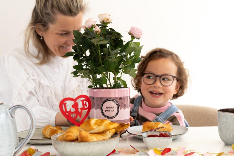 Rosa Light Pink in P&PURE “SPECIAL POUR TOI”