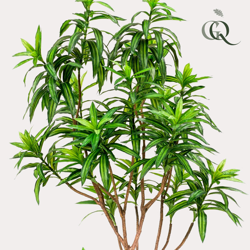 Dracaena Kunstplant (Drakenboom)