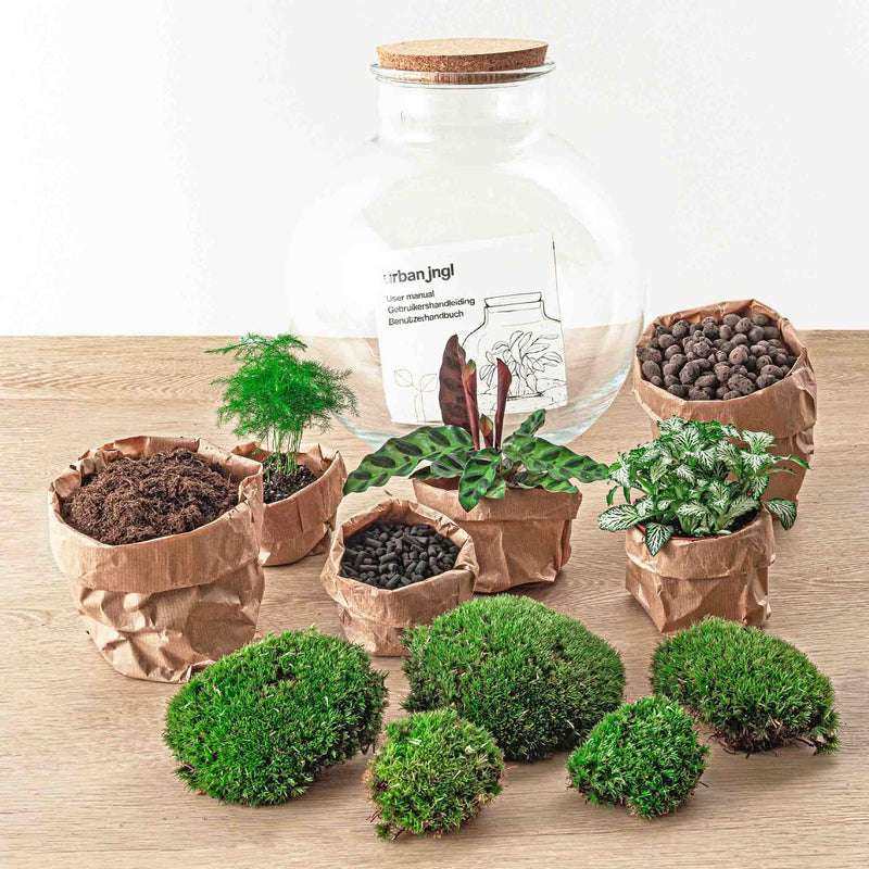 Bolder Bob Terrarium