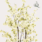 Prunus Kunstplant (Kersenbloesem) Everspring