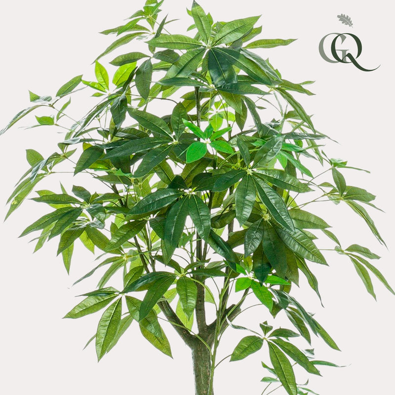 Pachira Aquatica Kunstplant (Geldboom)