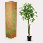 Pachira Aquatica Kunstplant (Geldboom)