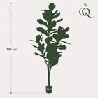 Ficus Lyrata Kunstplant (Vioolbladplant)