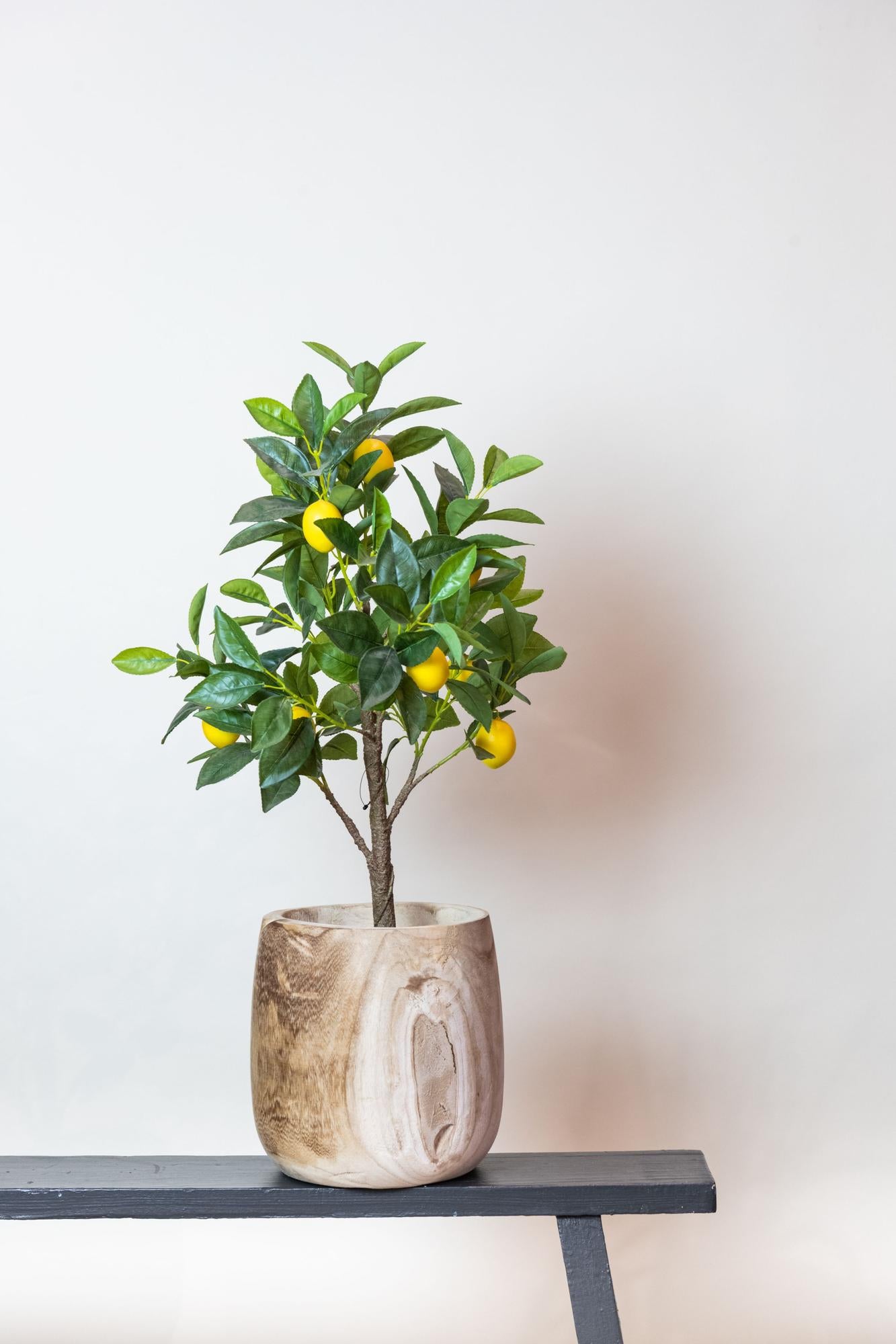 Citrus Limonia Kunstplant (Citroenboom)