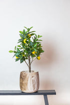 Citrus Limonia Kunstplant (Citroenboom)