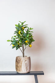 Citrus Limonia Kunstplant (Citroenboom)