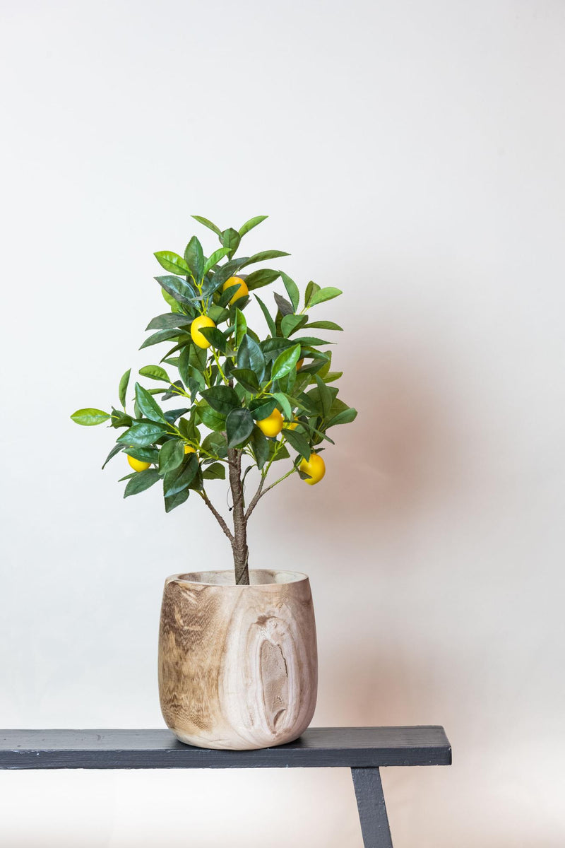 Citrus Limonia Kunstplant (Citroenboom)