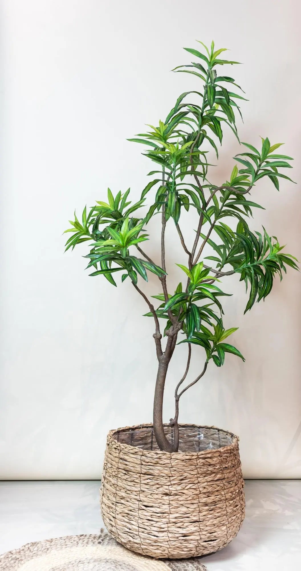 Dracaena Kunstplant (Drakenboom) Everspring
