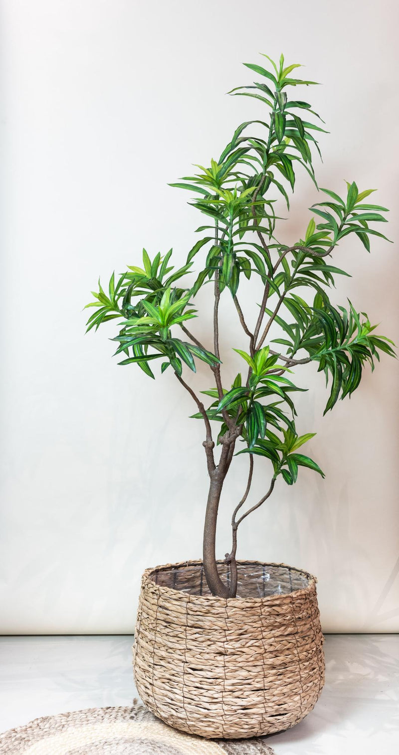 Dracaena Kunstplant (Drakenboom)