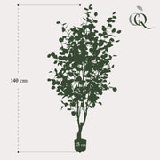 Eucalyptus Kunstplant (Blauwe Gomboom) Everspring