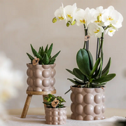 Kolibri Plantenset Cotton Zand – Witte Orchidee Ghent in Keramieken Sierpotten Everspring
