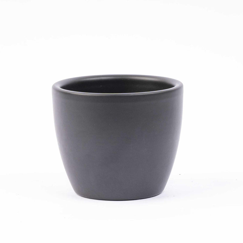 Mini-kerstboom set 6 + Pot Boule Antraciet