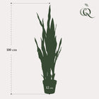 Sansevieria Black Coral Kunstplant (Vrouwentong)