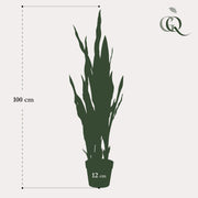 Sansevieria Black Coral Kunstplant (Vrouwentong)