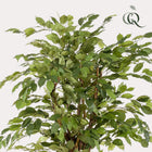 Ficus Liana Kunstplant (Vioolbladplant)