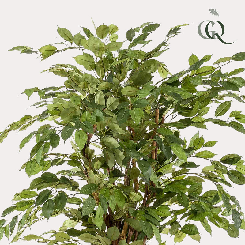 Ficus Liana Kunstplant (Vioolbladplant)