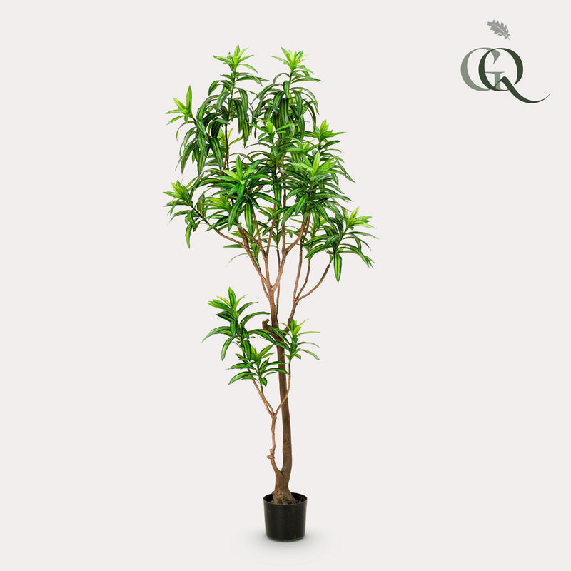 Dracaena Kunstplant (Drakenboom)