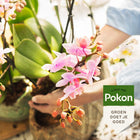 Pokon Bio Orchidee Voeding – 250ML