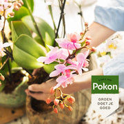 Pokon Bio Orchidee Voeding – 250ML
