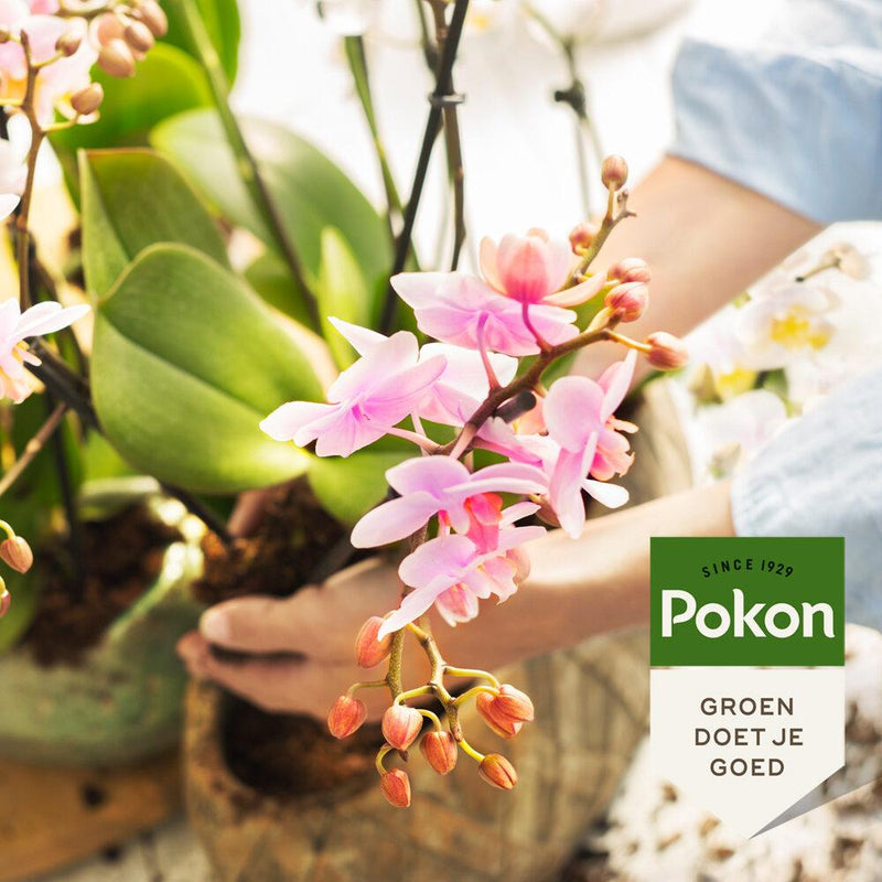 Pokon Bio Orchidee Voeding – 250ML