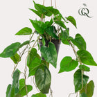 Philodendron Scandens (kunstplant)