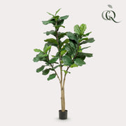 Ficus Lyrata Kunstplant (Tabaksplant) Everspring