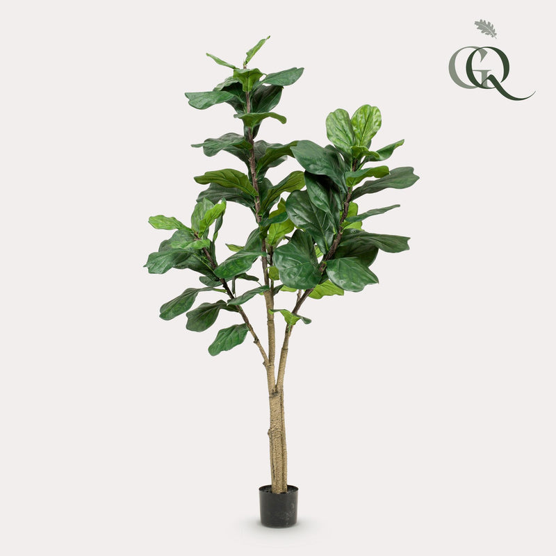 Ficus Lyrata Kunstplant (Tabaksplant)