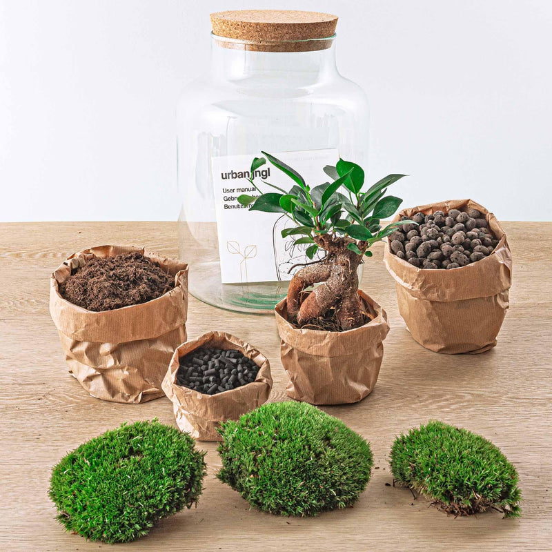 Milky met bonsai Terrarium